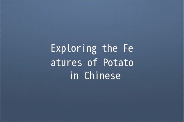 Exploring the Features of Potato in Chinese 🥔✨