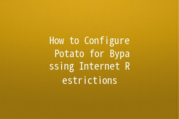 How to Configure Potato for Bypassing Internet Restrictions 🌐🚀