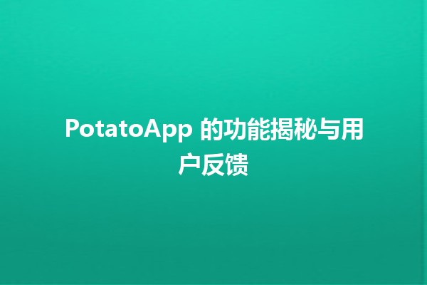 🌟 PotatoApp 的功能揭秘与用户反馈 🌟