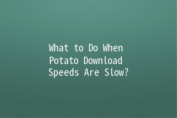 What to Do When Potato Download Speeds Are Slow? 🚀🐢