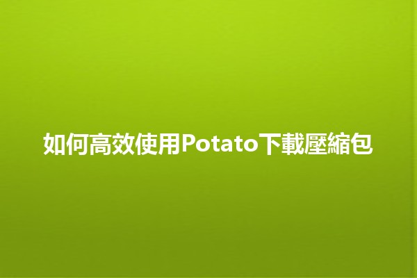 如何高效使用Potato下載壓縮包🛠️