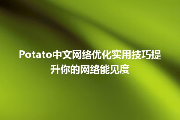 🍟 Potato中文网络优化实用技巧提升你的网络能见度 🚀