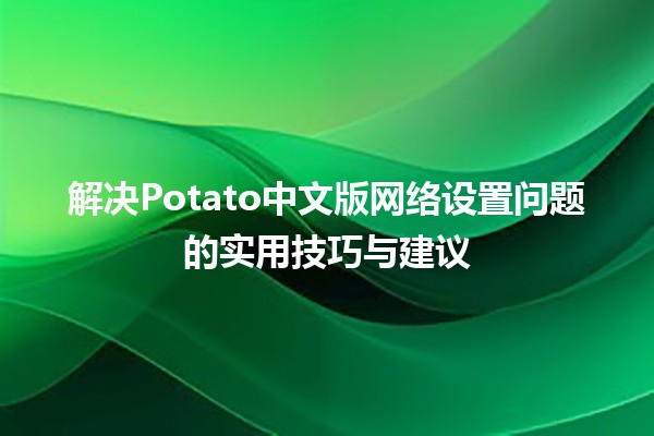 🚀 解决Potato中文版网络设置问题的实用技巧与建议