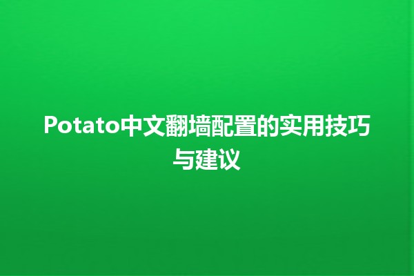 🌟 Potato中文翻墙配置的实用技巧与建议 🚀