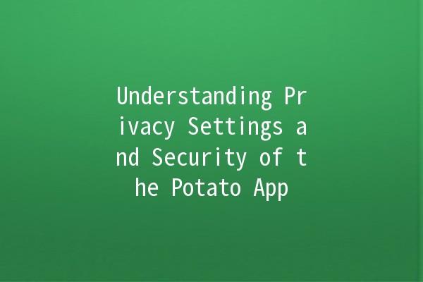 Understanding Privacy Settings and Security of the Potato App 🥔🔒