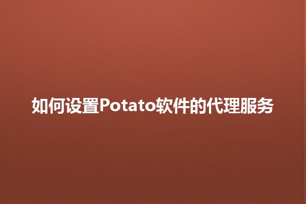 如何设置🍟Potato软件的代理服务