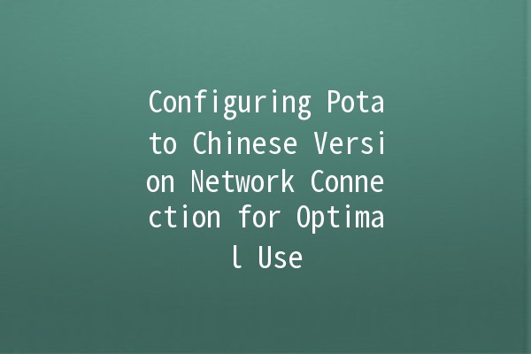 Configuring Potato Chinese Version Network Connection for Optimal Use 🌐🥔