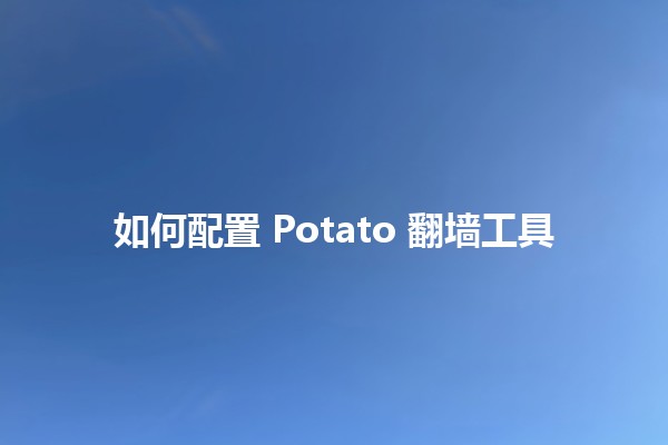 如何配置 Potato 翻墙工具 🥔🌐