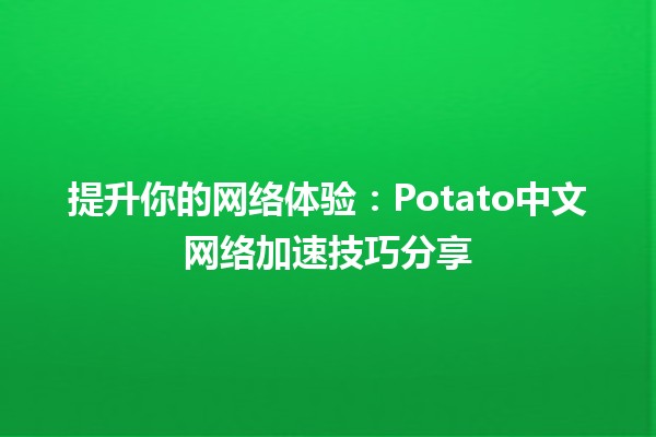 🚀 提升你的网络体验：Potato中文网络加速技巧分享 🌐