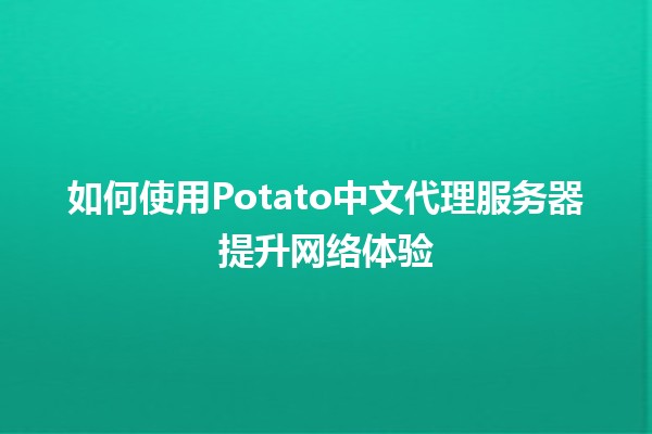 如何使用Potato中文代理服务器提升网络体验🍟🌐