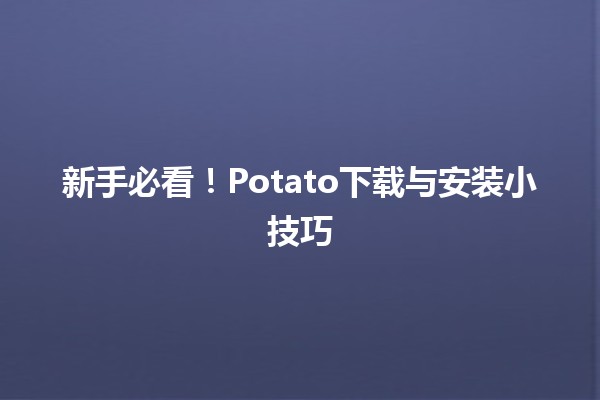 📥 新手必看！Potato下载与安装小技巧✨