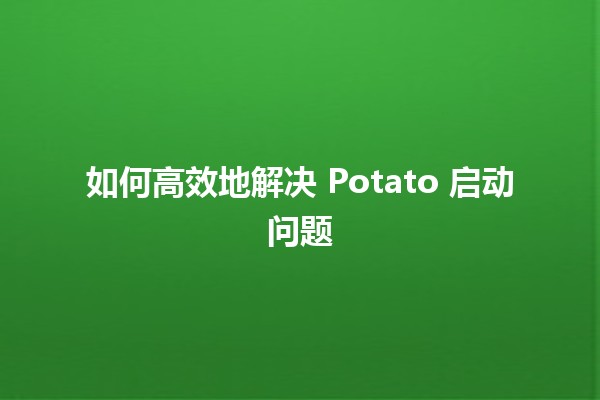 如何高效地解决 Potato 启动问题 🚀💻