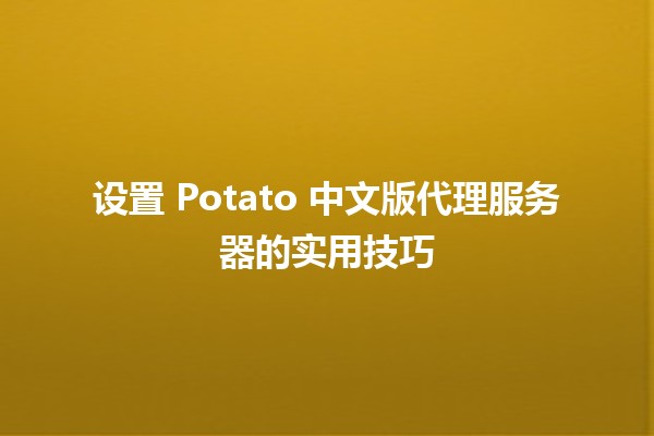 设置 Potato 中文版代理服务器的实用技巧 🚀✨