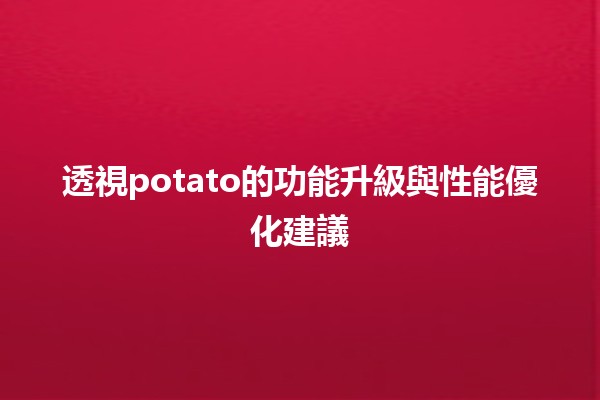 🍟 透視potato的功能升級與性能優化建議