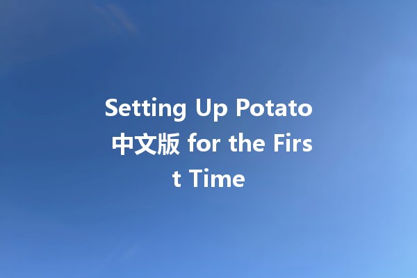 Setting Up Potato 中文版 for the First Time 🍟🚀