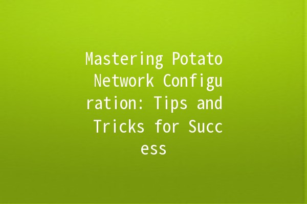 Mastering Potato Network Configuration: Tips and Tricks for Success 🚀🖥️