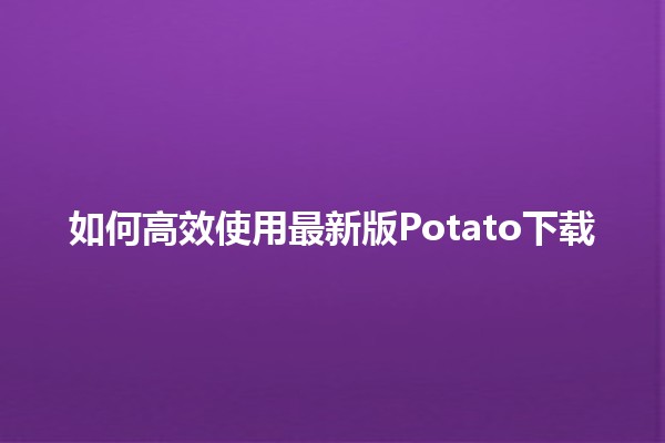 如何高效使用最新版Potato下载📱✨