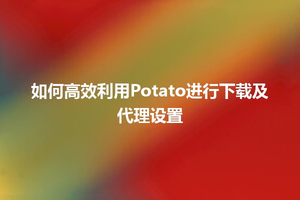 如何高效利用Potato进行下载及代理设置 🚀💻