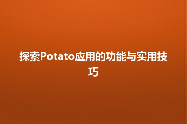 🌟 探索Potato应用的功能与实用技巧🍟