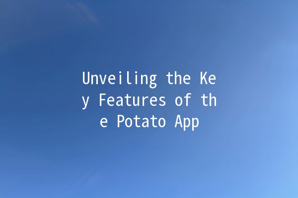 Unveiling the Key Features of the Potato App 🥔✨