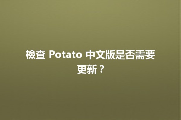 檢查 Potato 中文版是否需要更新？🧐🍟