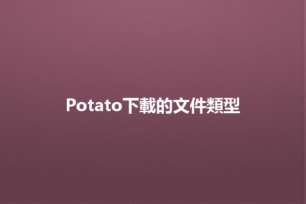 Potato下載的文件類型💻📂