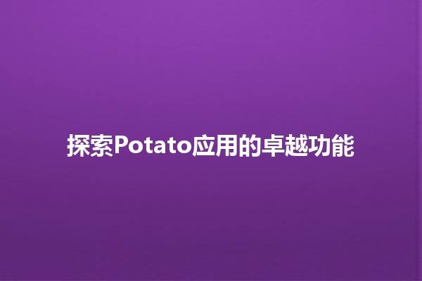 🌟 探索Potato应用的卓越功能