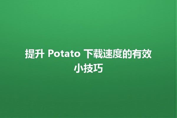 提升 Potato 下载速度的有效小技巧 🚀💻