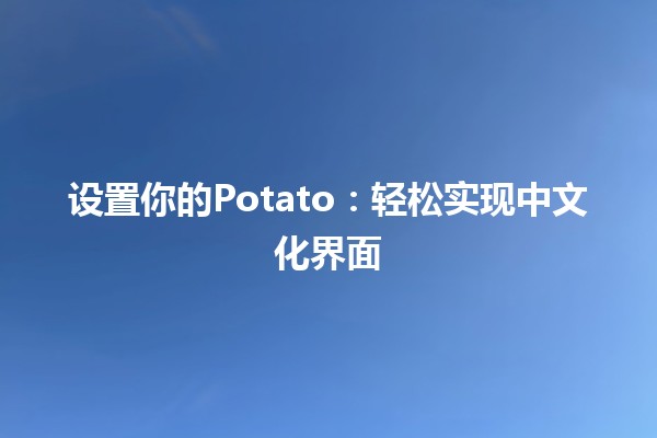 🍟 设置你的Potato：轻松实现中文化界面