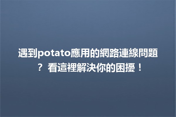 遇到potato應用的網路連線問題？💡 看這裡解決你的困擾！