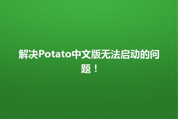 解决Potato中文版无法启动的问题！🚀🔧