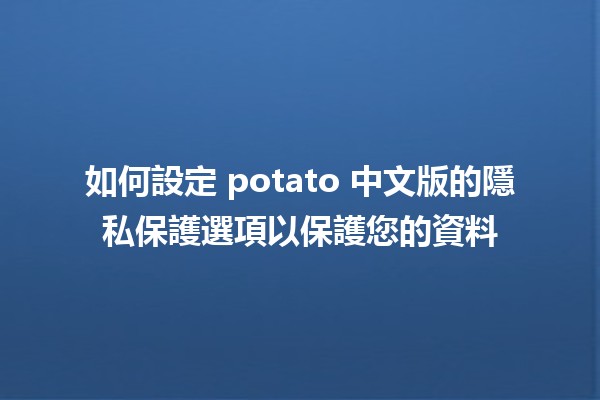 如何設定 potato 中文版的隱私保護選項以保護您的資料🛡️✨