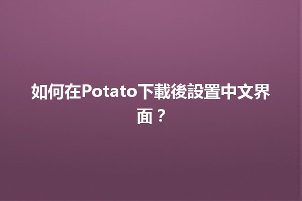 如何在Potato下載後設置中文界面？🤔🌟