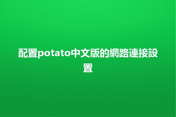 配置potato中文版的網路連接設置📡✨