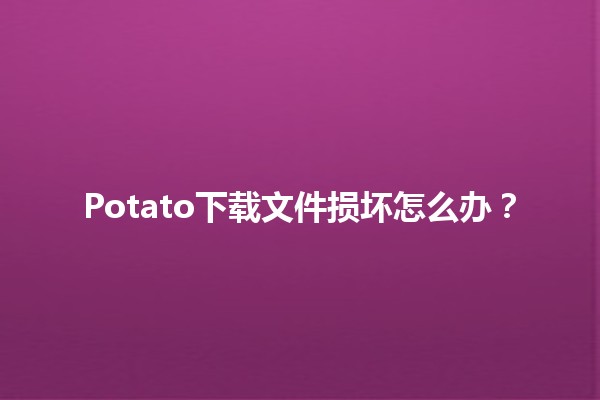 Potato下载文件损坏怎么办？🛠️🗂️