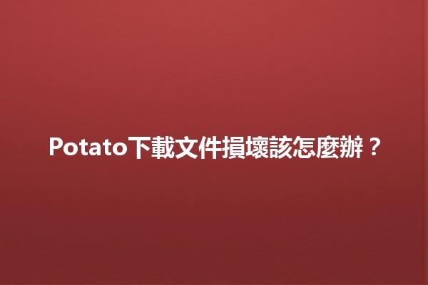 Potato下載文件損壞該怎麼辦？🛠️📥