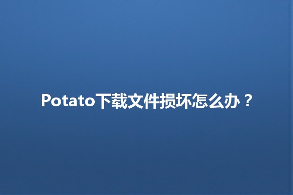 Potato下载文件损坏怎么办？🤔🛠️