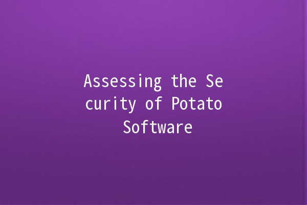 Assessing the Security of Potato Software 🥔🔒