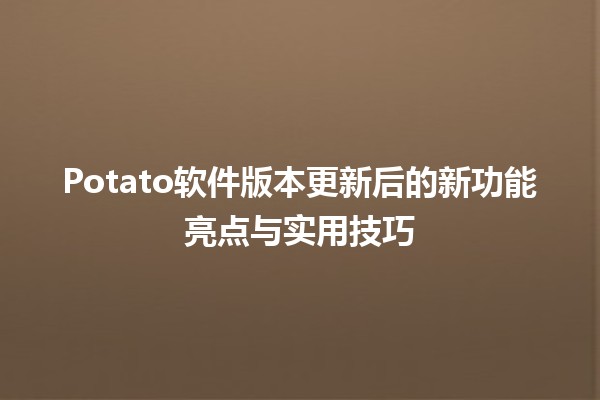 🚀 Potato软件版本更新后的新功能亮点与实用技巧