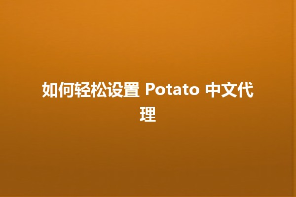 如何轻松设置 Potato 中文代理 🎉🌐