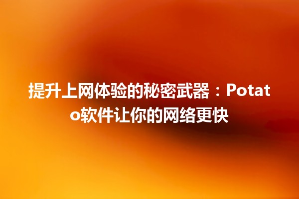 🤖 提升上网体验的秘密武器：Potato软件让你的网络更快🚀