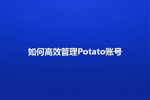 如何高效管理Potato账号 🥔💻