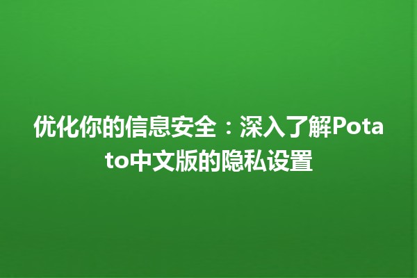 优化你的信息安全🔒：深入了解Potato中文版的隐私设置