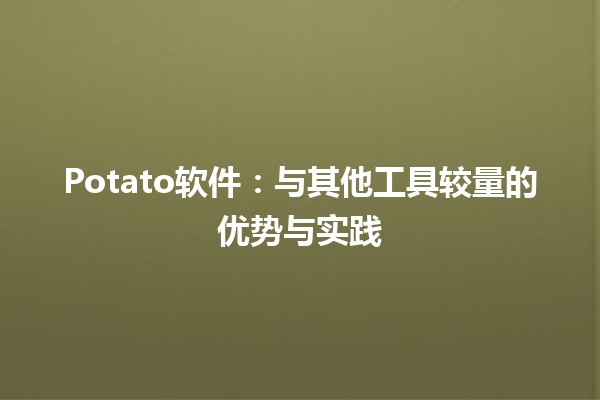 🥔 Potato软件：与其他工具较量的优势与实践 🛠️