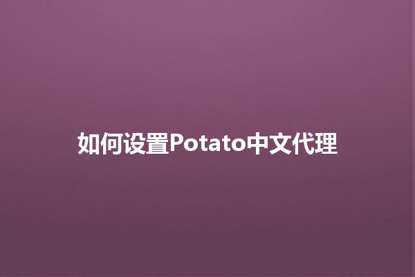 如何设置Potato中文代理 🥔✨