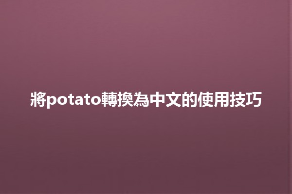 將potato轉換為中文的使用技巧🥔