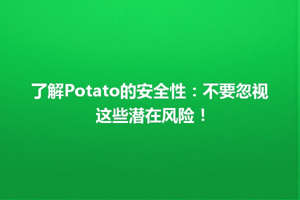 🥔了解Potato的安全性：不要忽视这些潜在风险！