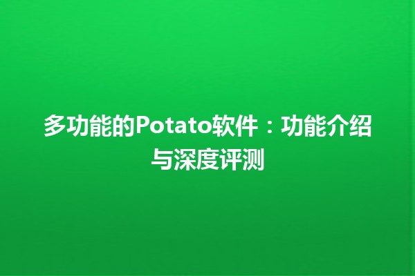 🌟 多功能的Potato软件：功能介绍与深度评测🥔