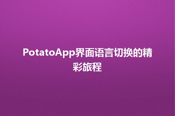 PotatoApp界面语言切换的精彩旅程🌍💬