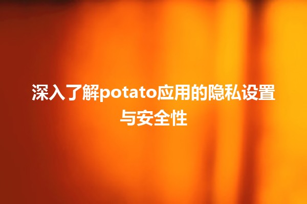 🍟 深入了解potato应用的隐私设置与安全性